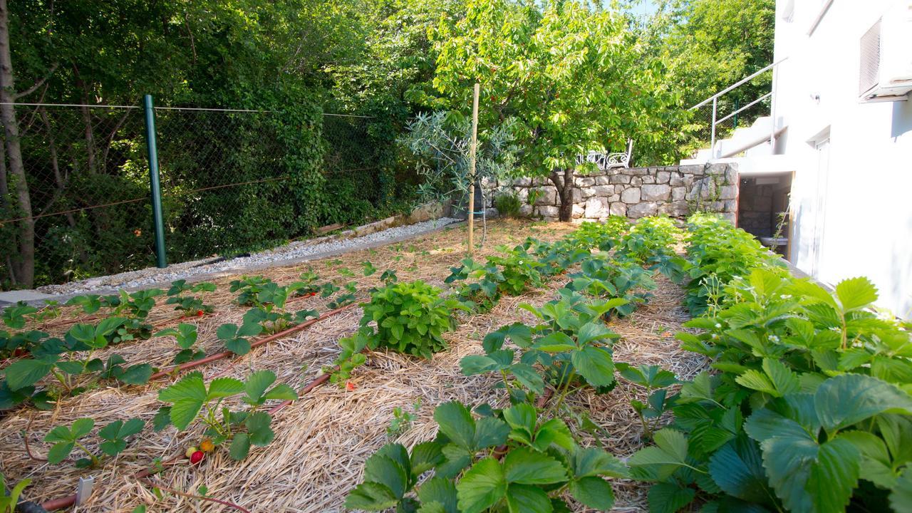 Organic Gardens Villa Crikvenica Exterior photo